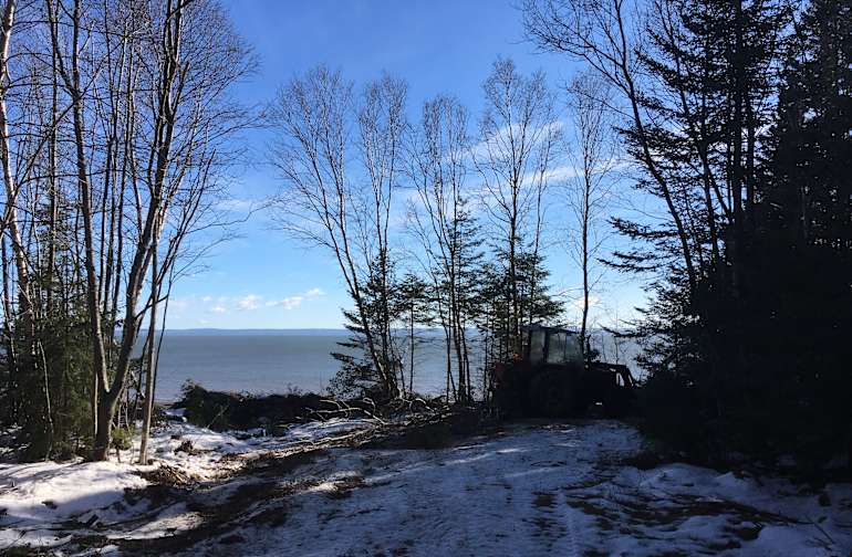 Best Camping In And Near Fundy National Park