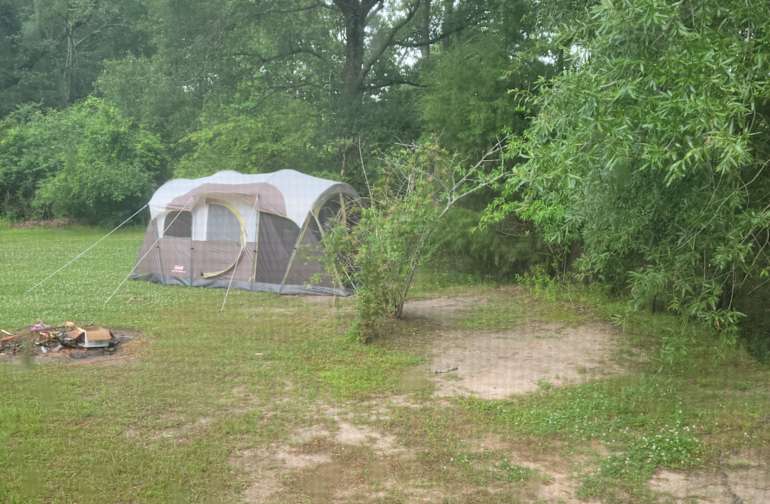 Best Camping In And Near Lake D Arbonne State Park