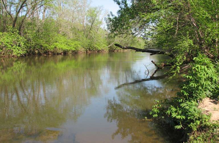 State Parks in North Carolina Best Campgrounds Hipcamp