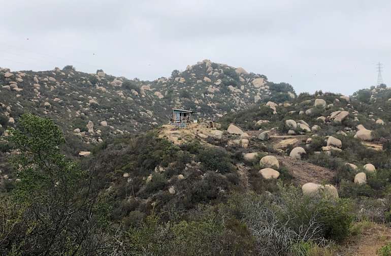 hilltop bear bolsa