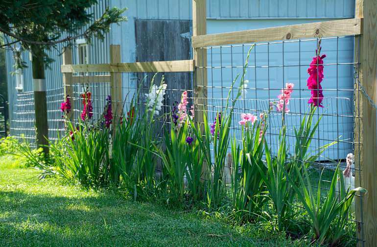 The 30 Best Campgrounds Near Monmouth Illinois