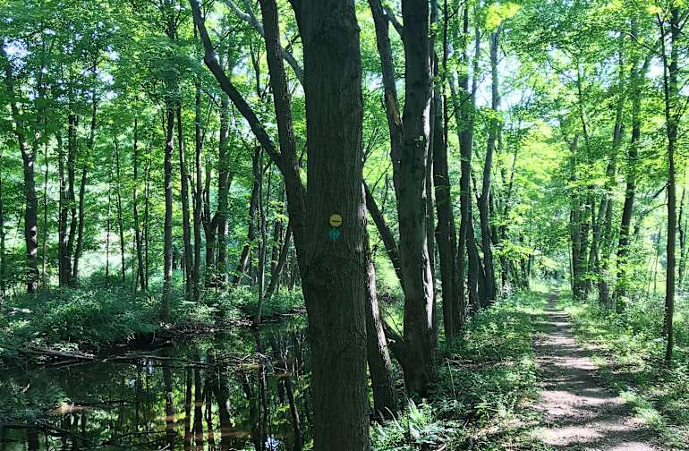 State Parks in New Jersey Best Campgrounds Hipcamp