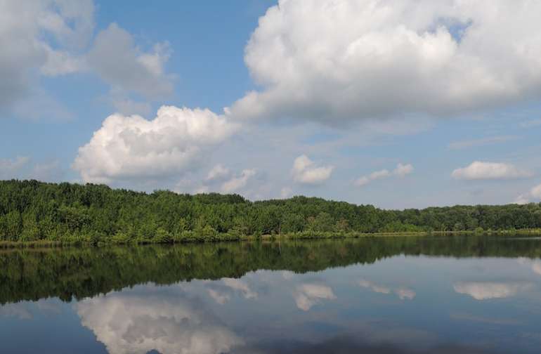 State Parks in New Jersey Best Campgrounds Hipcamp