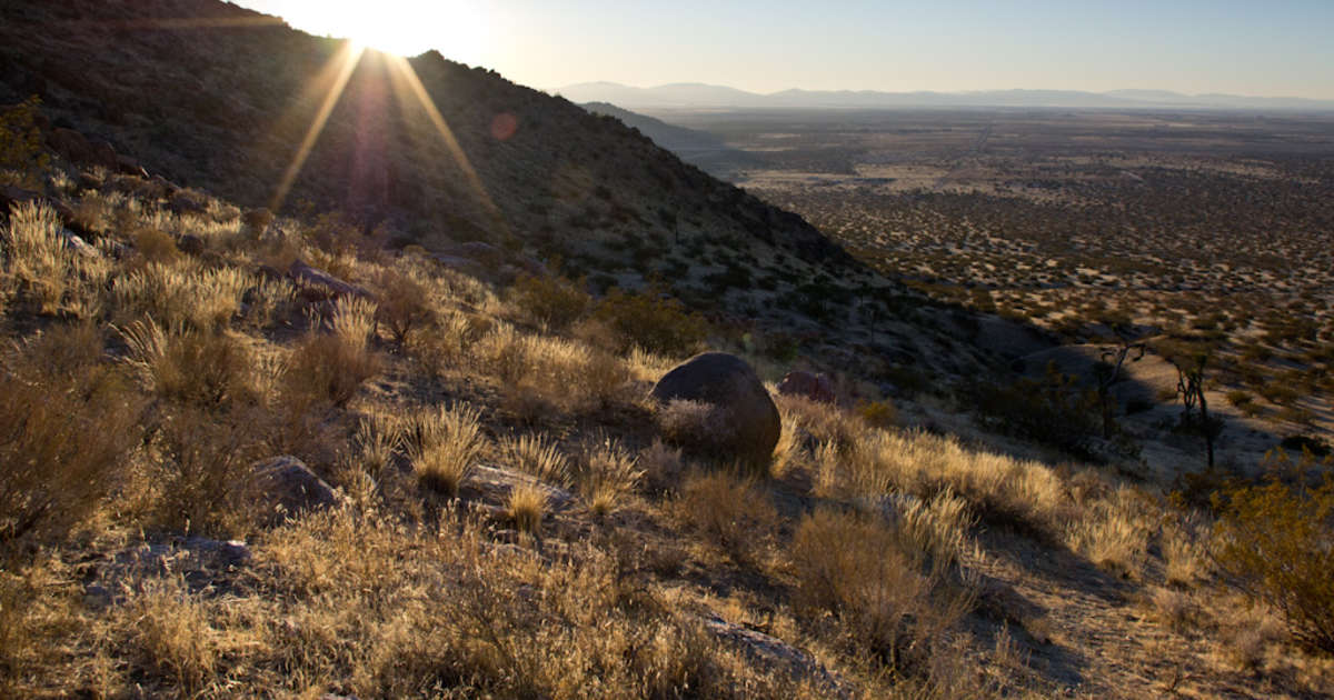 Escape to the Desert Oasis: Your Guide to Saddleback Butte State Park