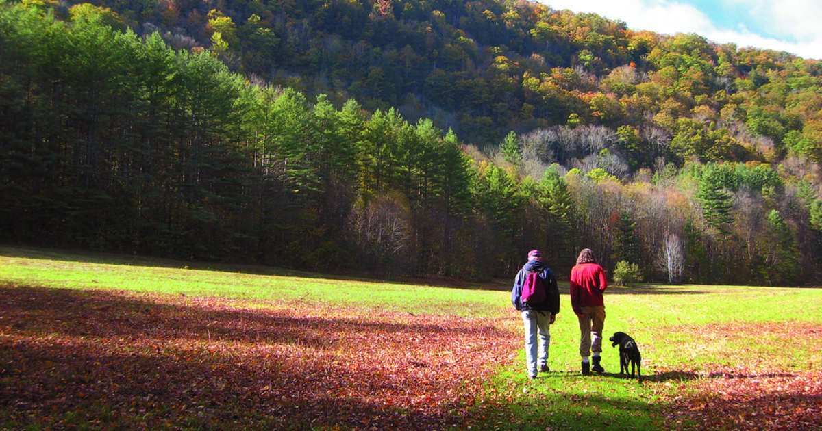 Mohawk trail camping store