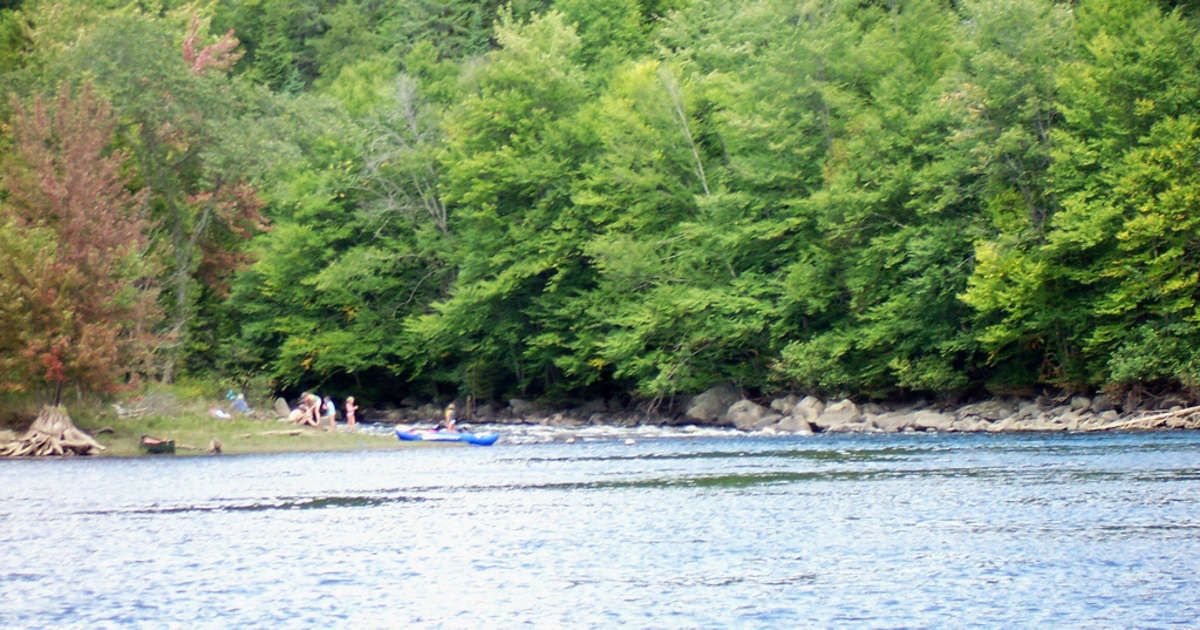 Best Camping in and Near Lake Francis State Park