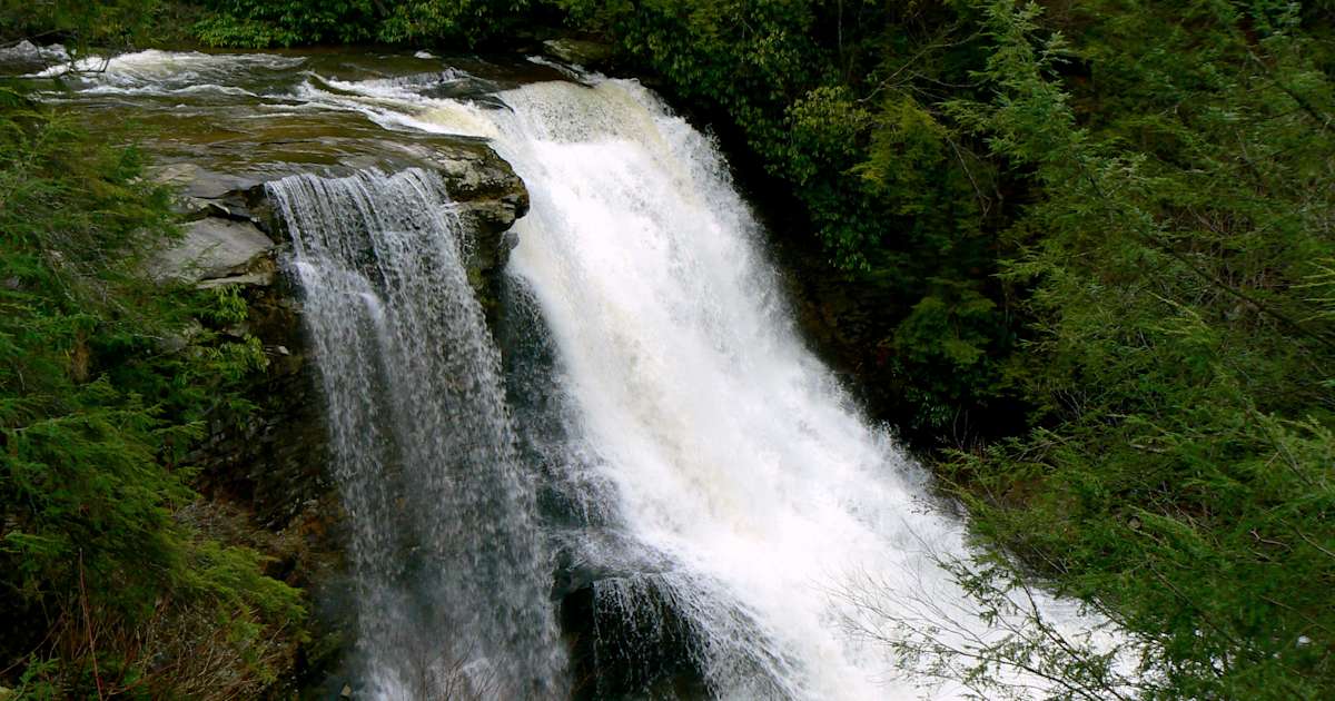 20 Best Camping Spots Around Swallow Falls State Park