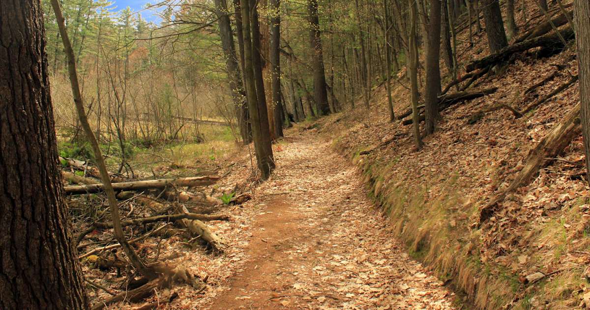 Rocky Arbor State Park Map Best Camping In And Near Rocky Arbor State Park