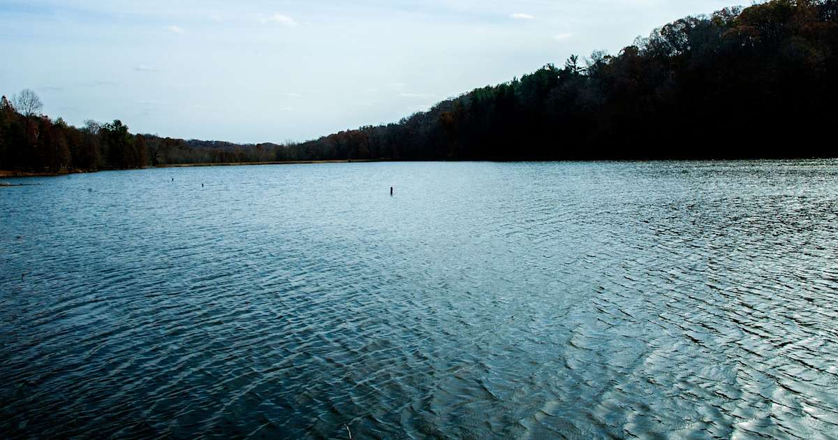 Best Camping in and near Ferdinand State Forest