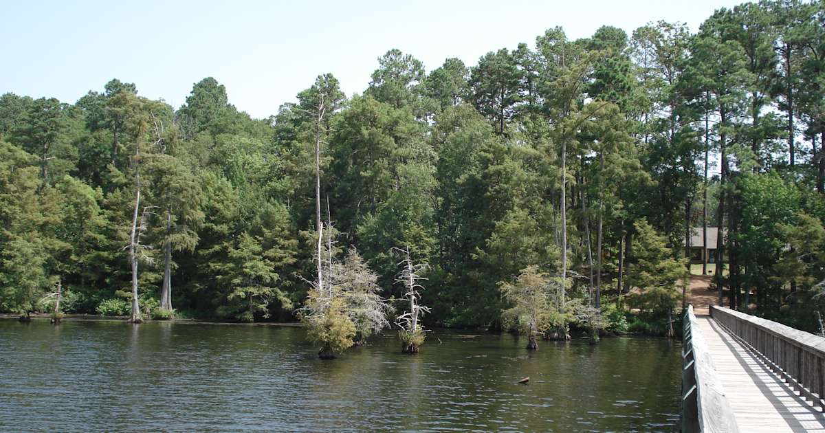 Best Camping in and Near Lake D'Arbonne State Park