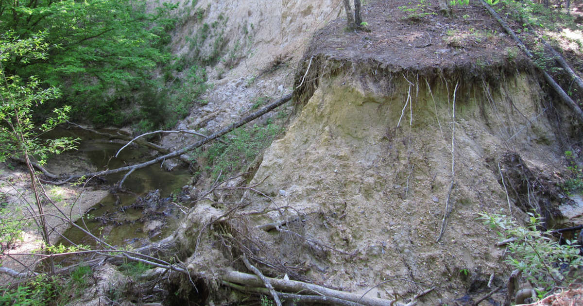 Best Camping in and near Homochitto National Forest