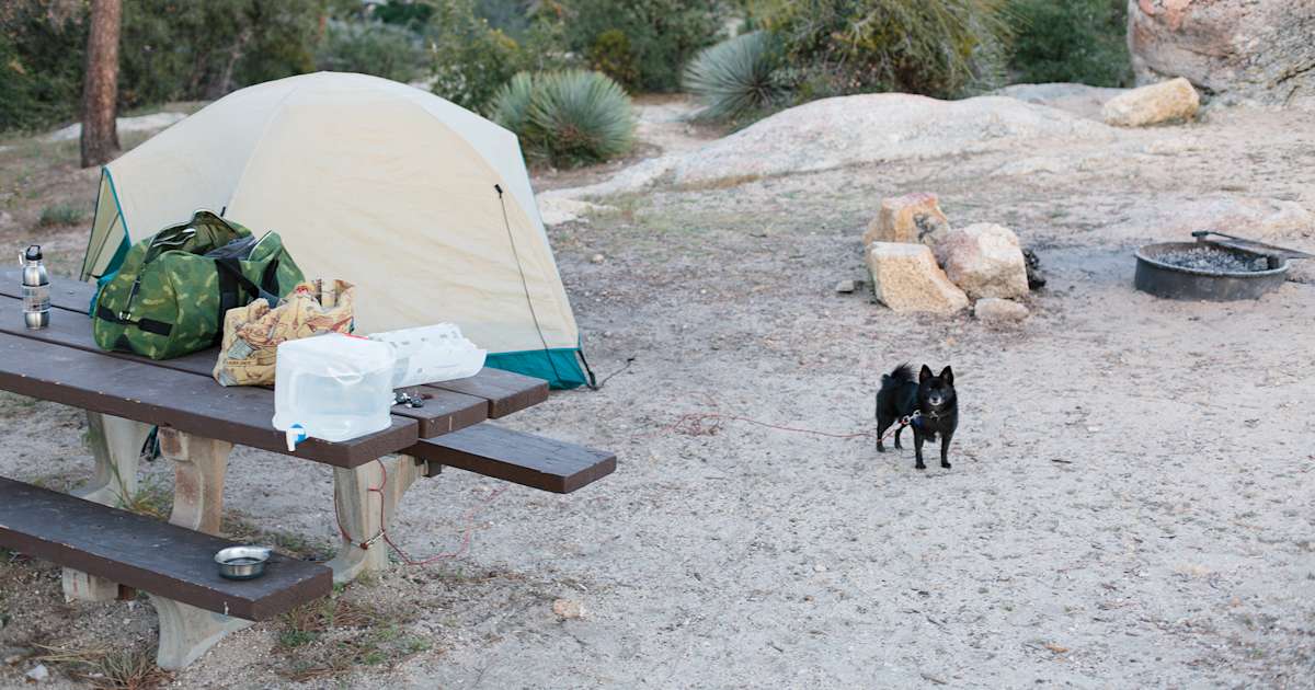 Chilao Campground Angeles CA 11 Hipcamper Reviews And 11 Photos