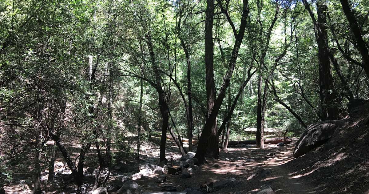 Spruce Grove Trail Camp Angeles CA 2 Hipcamper Reviews And 13