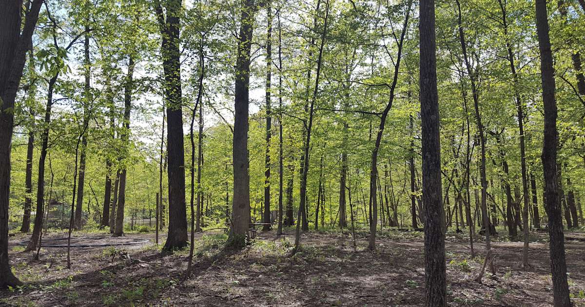 Walnut Point Campground, Walnut Point, IL 16 Photos