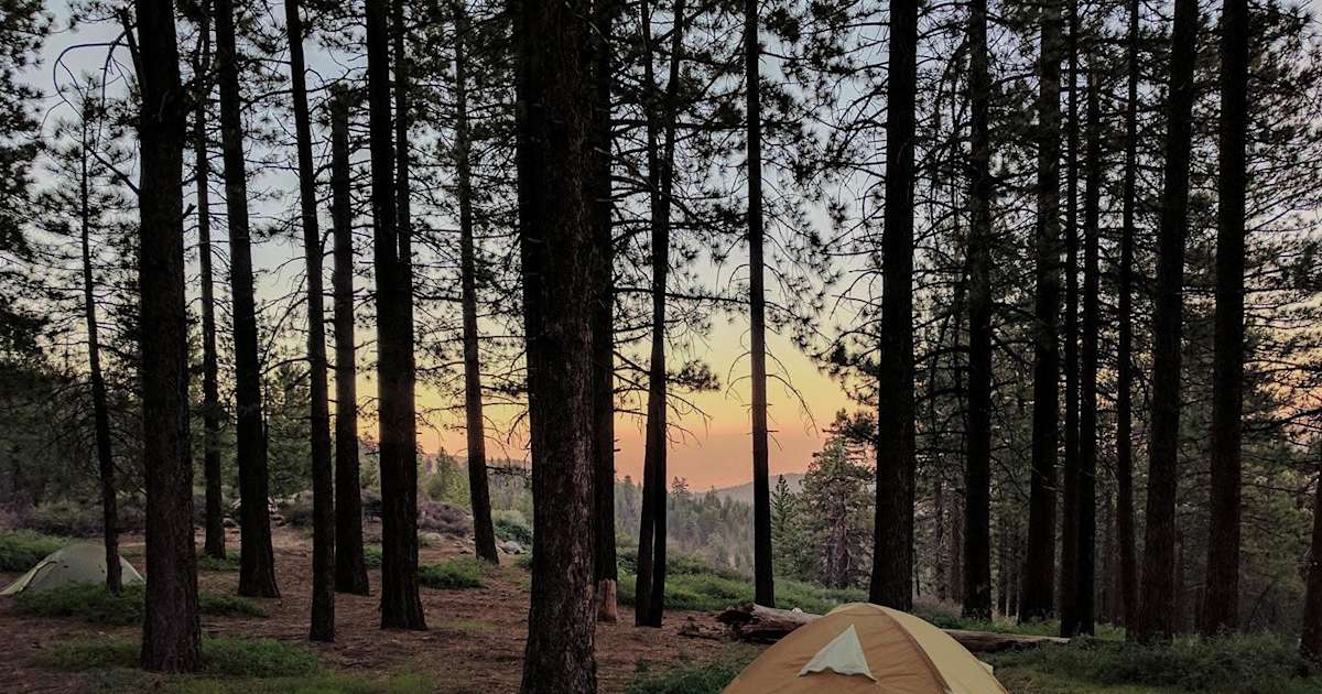 Mcgill campground clearance