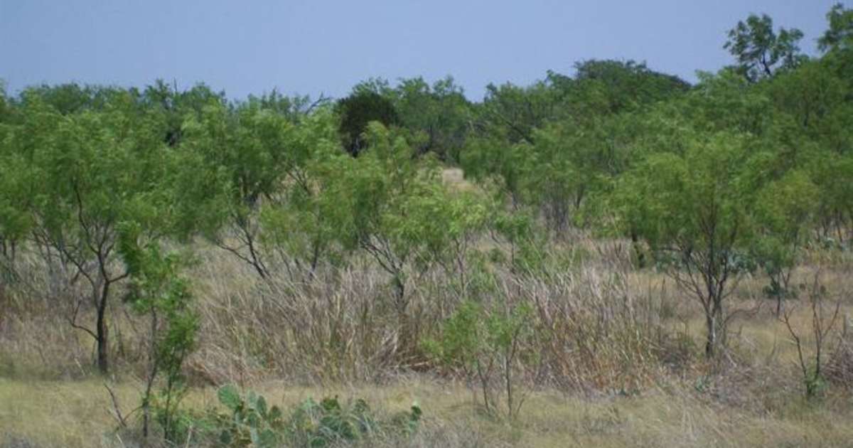 165 Acres Of Peace And Solitude Pristine Camping In The
