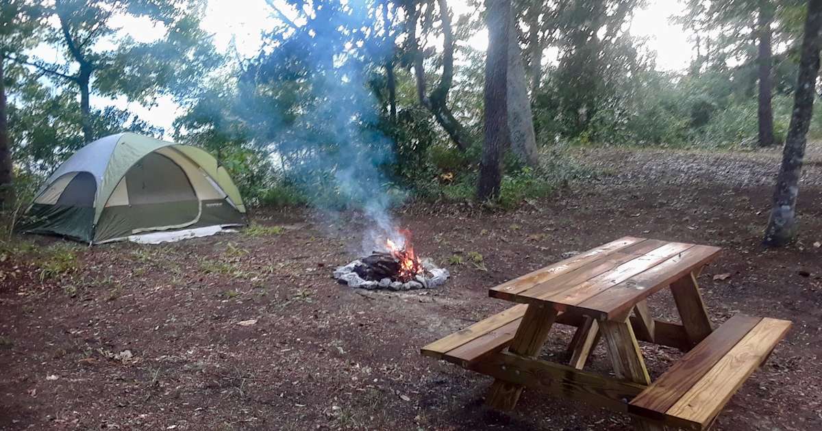 Primitive Campsite, Live Oak Landing, AL 34 Hipcamper Reviews And 41