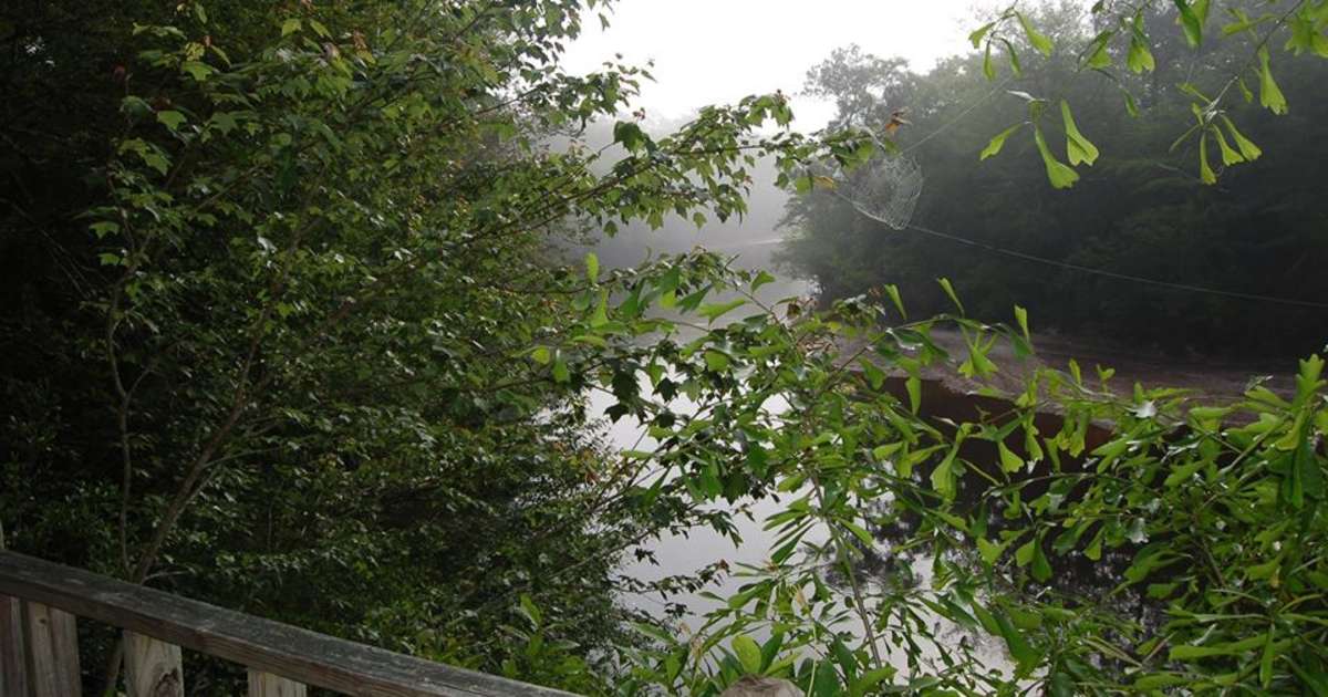 Escatawpa River Camping, Escatawpa River Campground, AL 1 Hipcamper