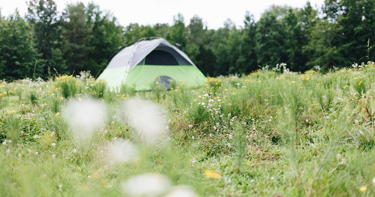 Camping Off The Grid Barbour Farms Camp Tn 33 Hipcamper Reviews And 109 Photos