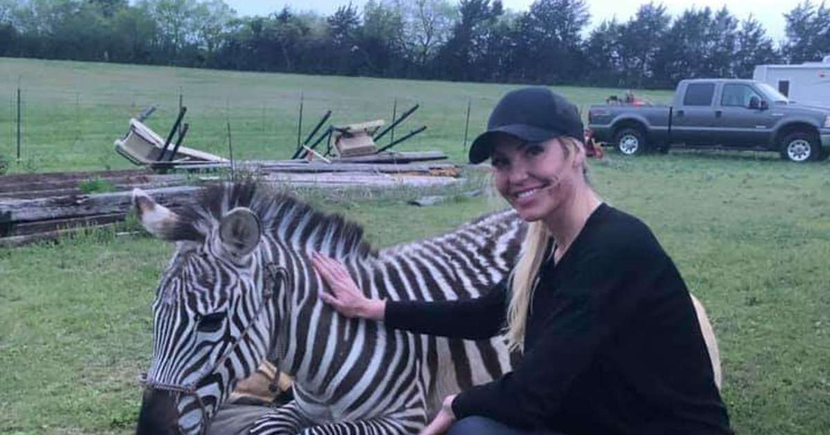 Oak Meadow Ranch Rv Park, Oak Meadow Ranch Rv Park, TX 2 Hipcamper