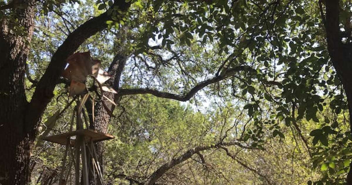Vida Sonada: Unique Tree Tent, Veronica V.'S Land, TX: 3 ...