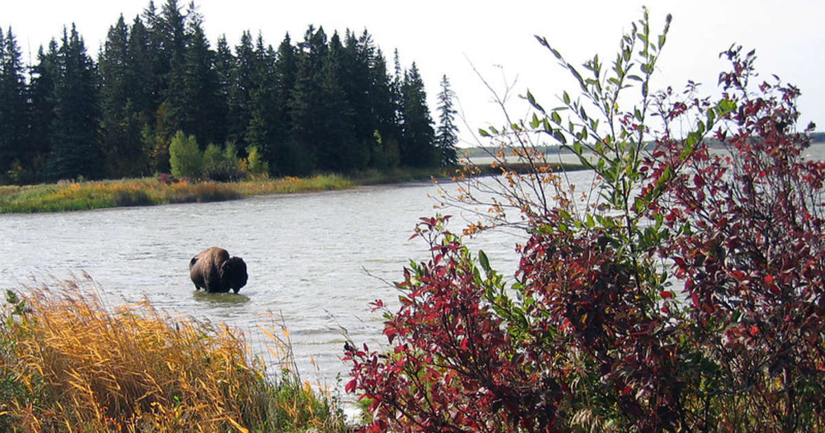 Camping Near Spring Green Wi House on the Rock Reviews Spring Green