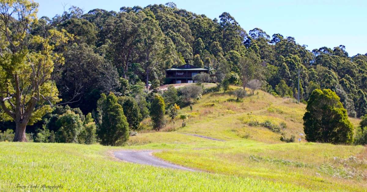 Misty Mountain Adult Rates Kunghur Peter V S Land Nsw 14 Hipcamper Reviews And 10 Photos