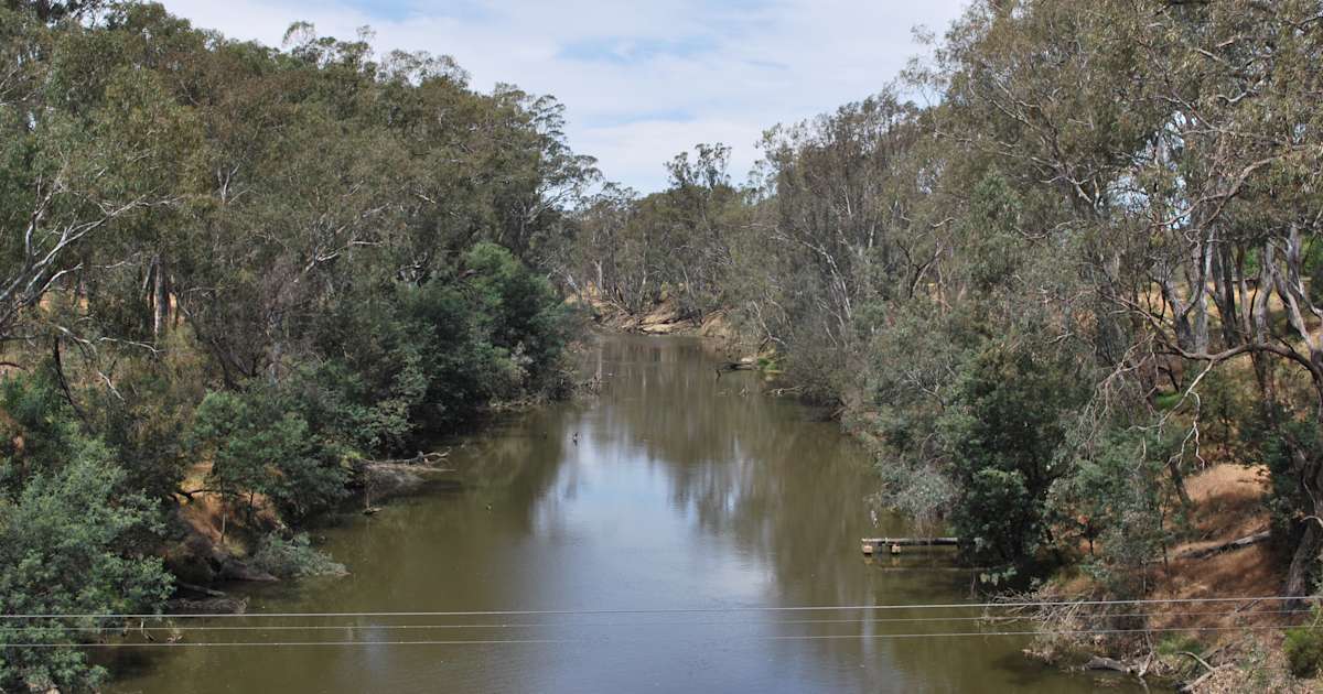Best Camping in and near Goulburn River National Park