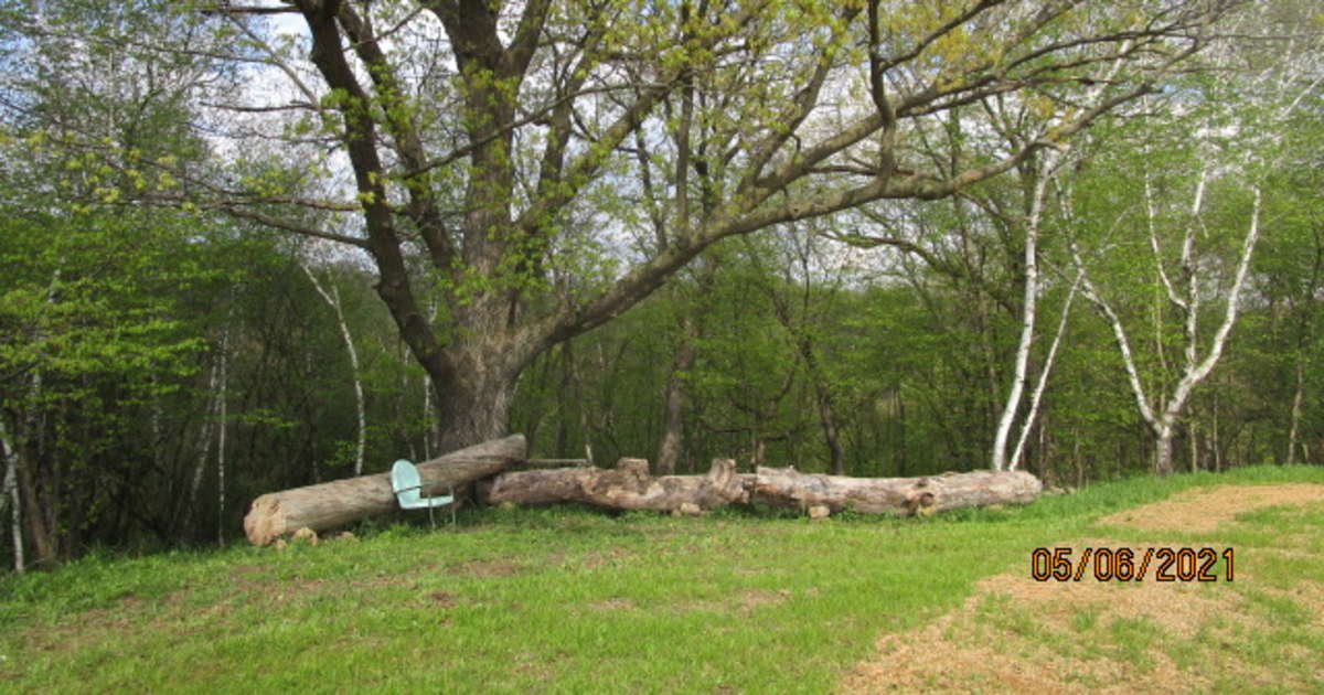 Discover the 30 best campsites near Lanesboro, Minnesota