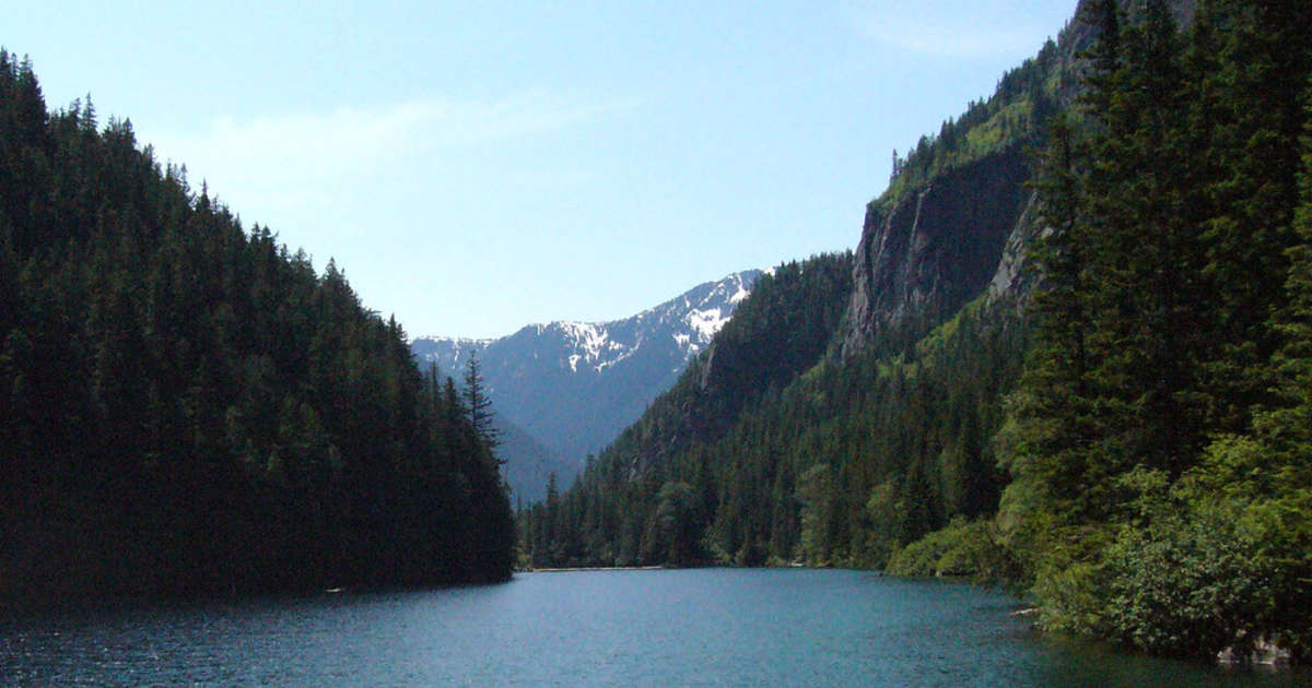 Best Camping In And Near Chilliwack Lake Provincial Park