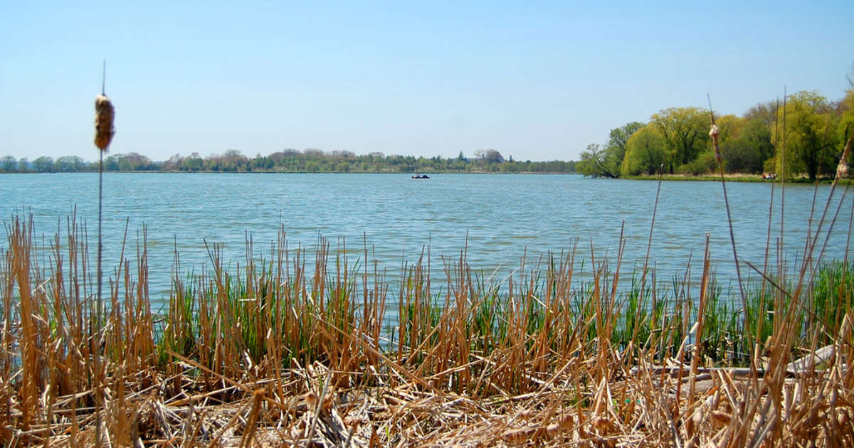 Best Camping in and near Darlington Provincial Park