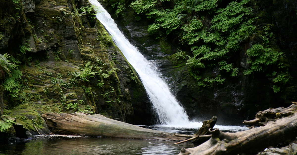 Best Camping in and near Goldstream Provincial Park