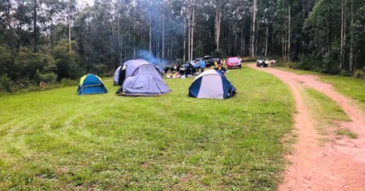 Zazu Large Group Camping Hakuna Matata Resort Booral Nsw 6 Hipcamper Reviews And 8 Photos