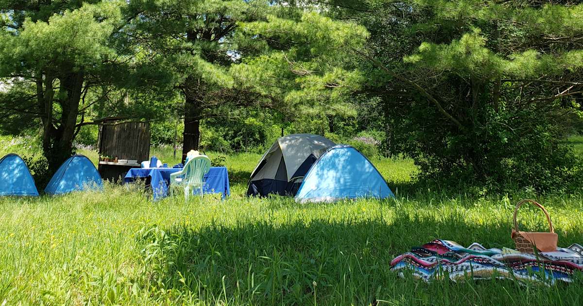 Wildwood Farm S Whispering Pines Wildwood Farm Ny 15 Hipcamper Reviews And 35 Photos