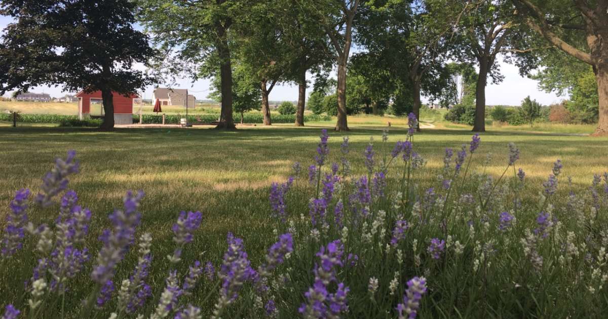 The 30 best campgrounds near Ames, Iowa