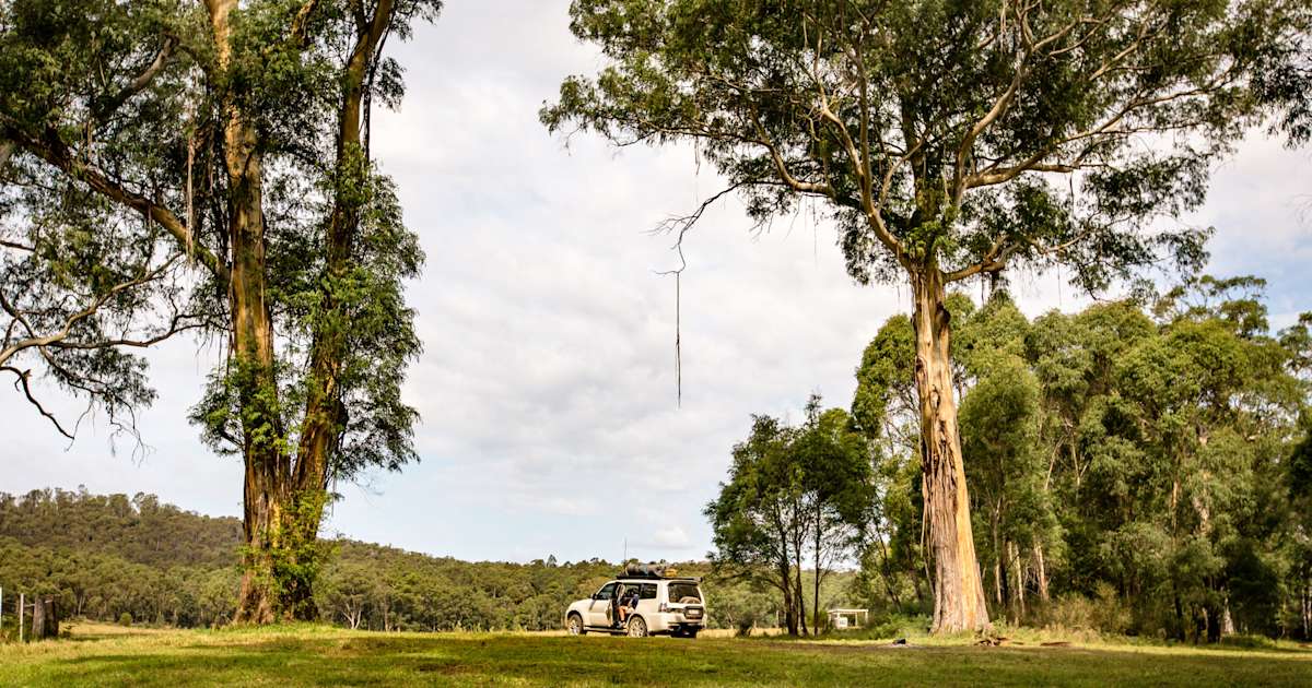 Camping in Jervis Bay The 20 Best Campgrounds Hipcamp