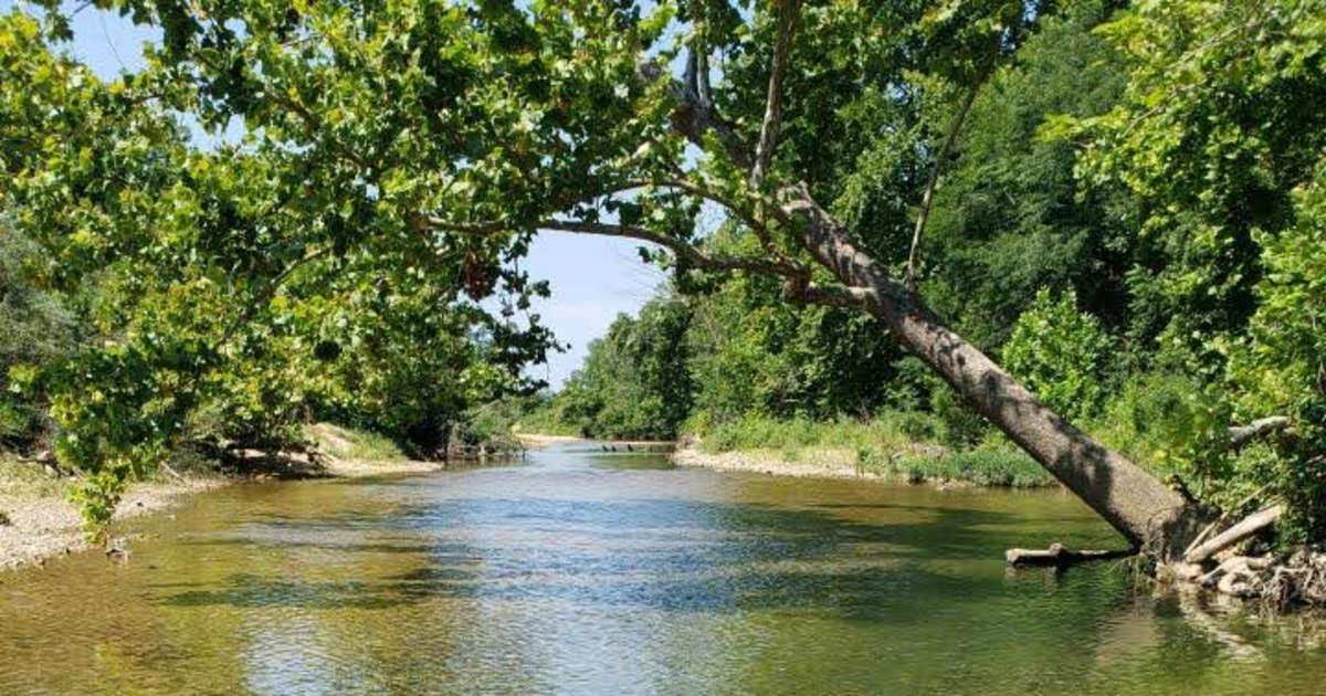 Discover the 30 best campgrounds near Eminence, Missouri