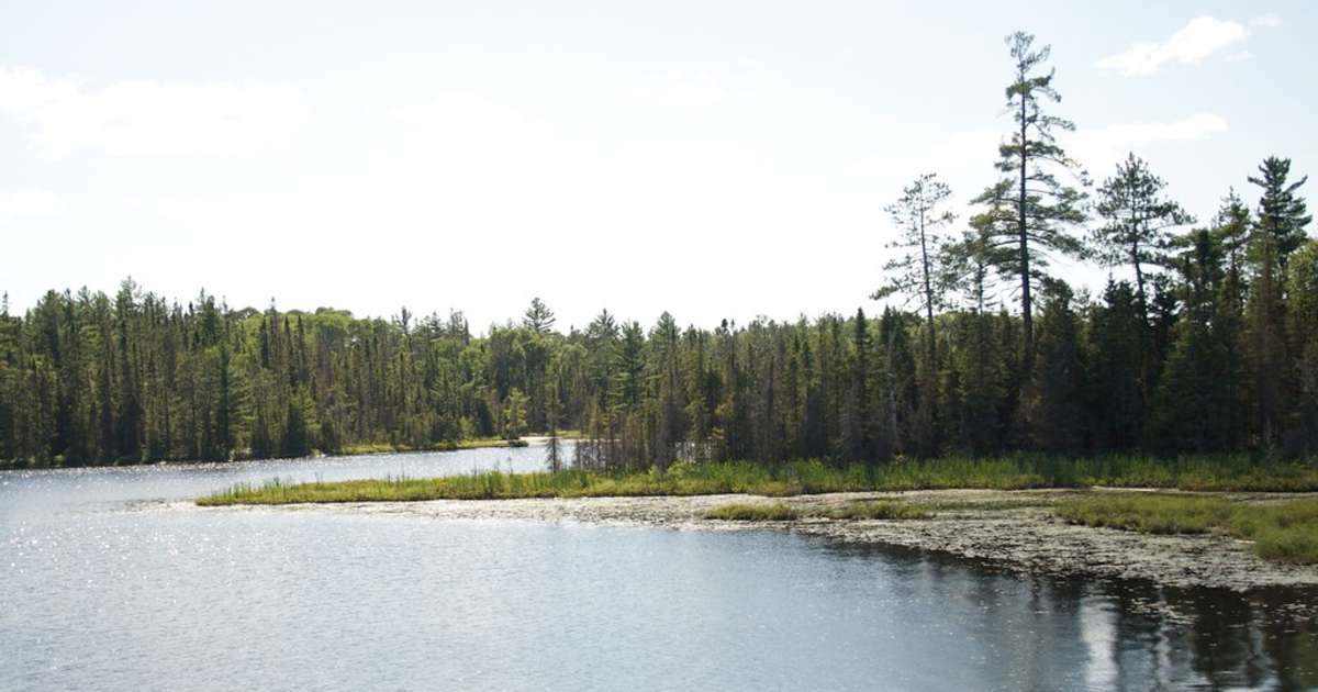 Best Camping in and Near Finlayson Point Provincial Park