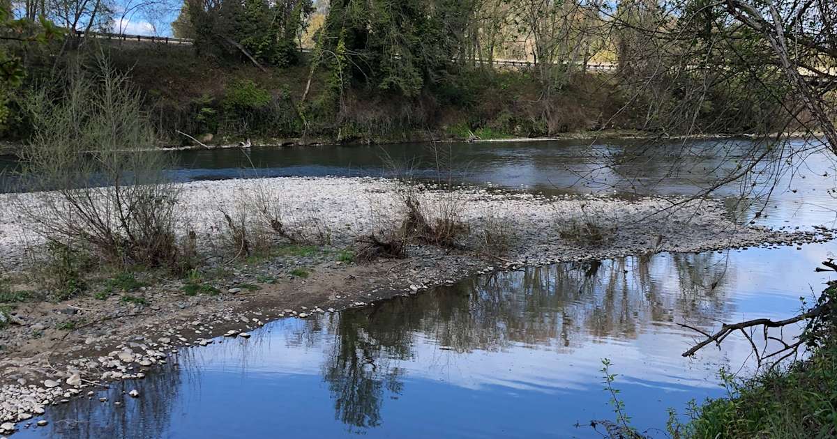 Private Oasis On The Rogue River Camping