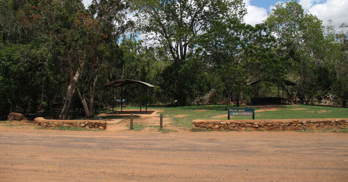Best Camping in and Near Forty Mile Scrub National Park