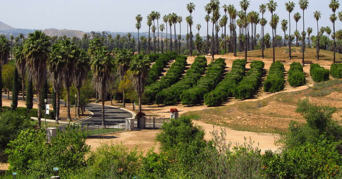 Best Camping in and Near California Citrus State Historic Park