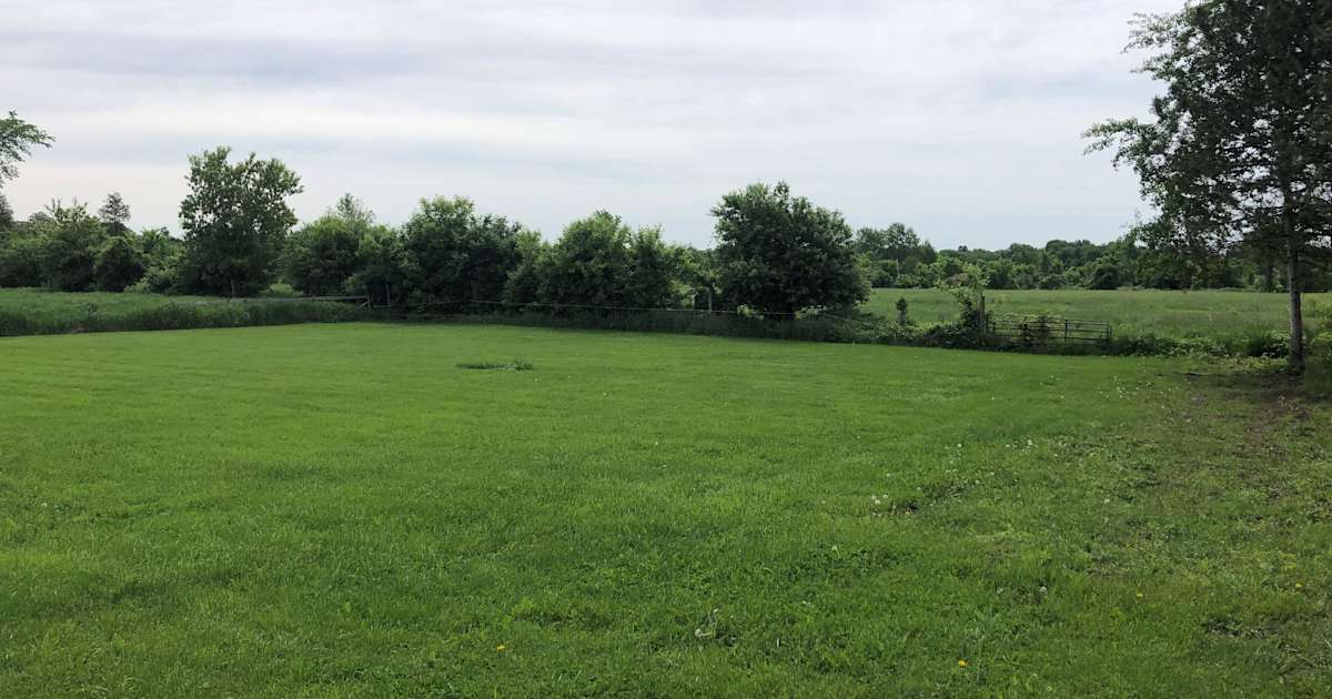 Large Grassy Area On Farm, Whys Guy Acres, ON 6 Photos