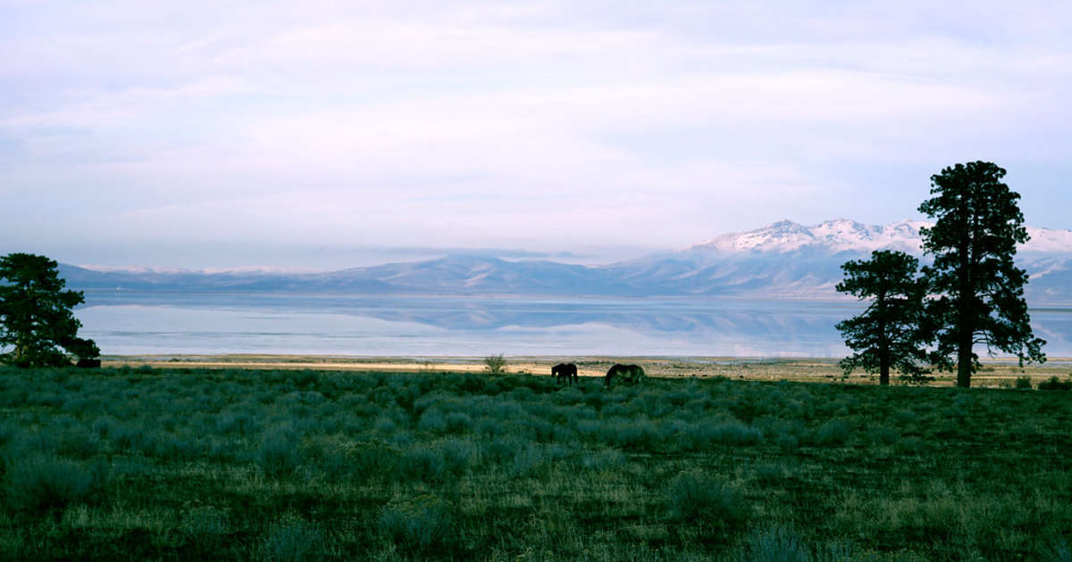 Best Camping in and Near Honey Lake