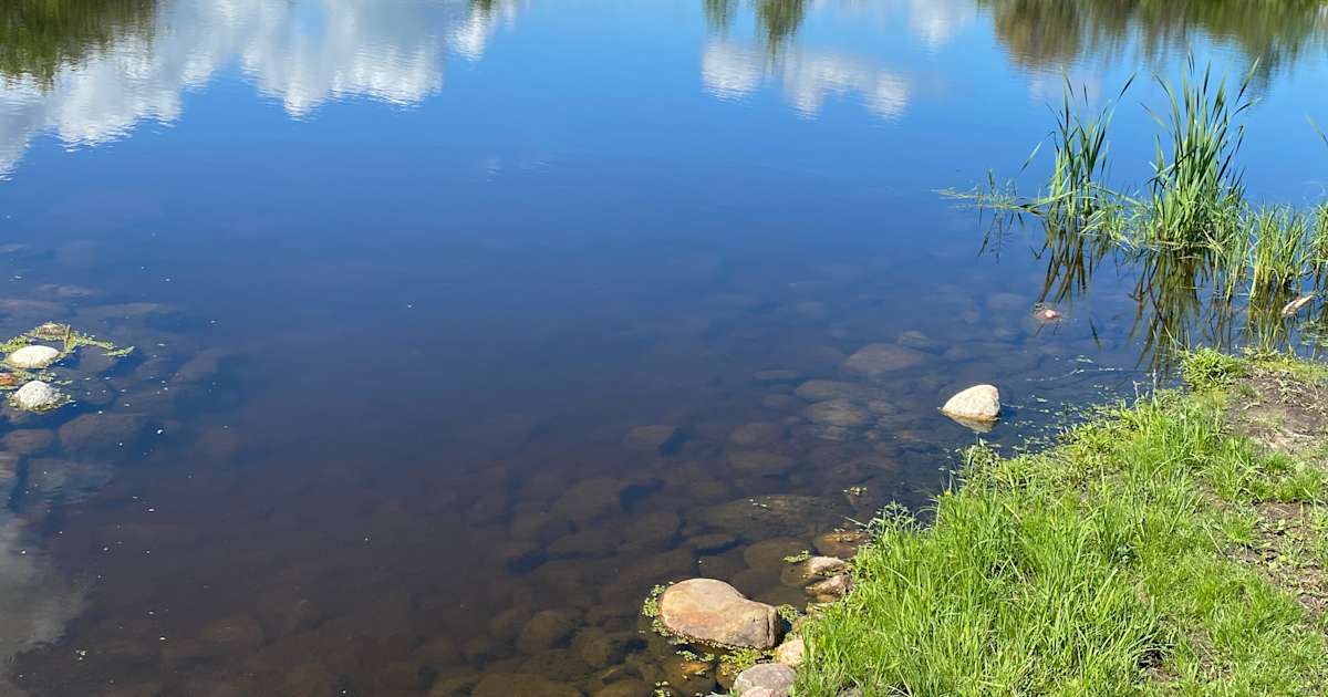 Discover the 20 best campgrounds near Edmonton, Alberta