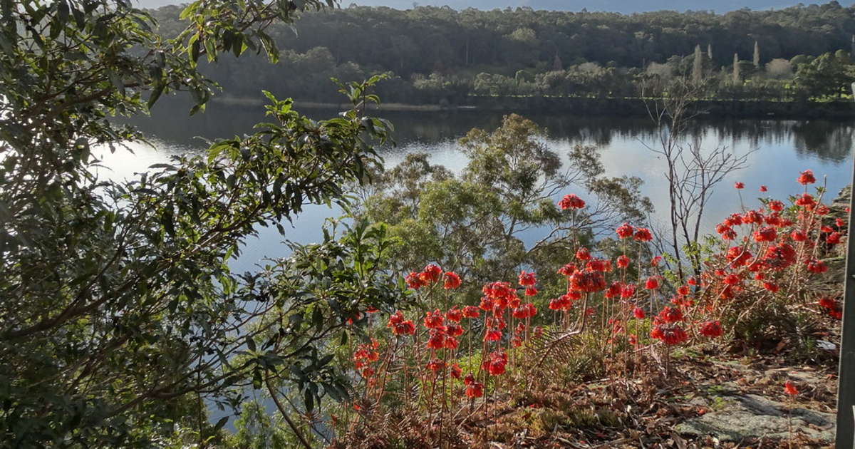 Best Camping in and near Nowra Showground