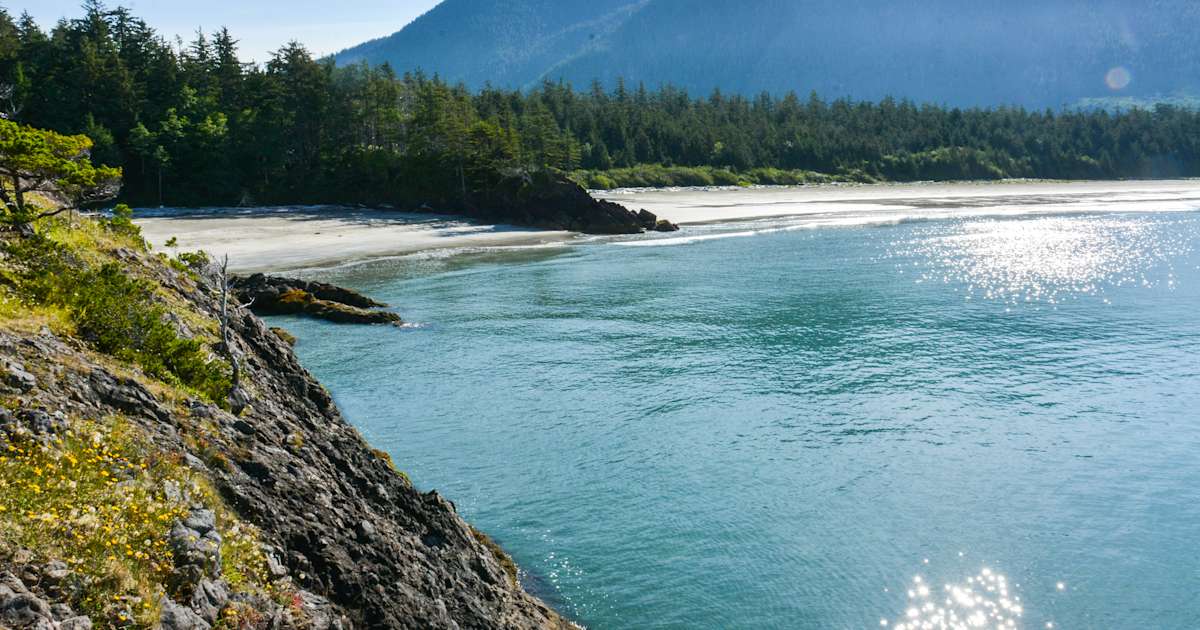 Best Camping in and near Rugged Point Marine Provincial Park