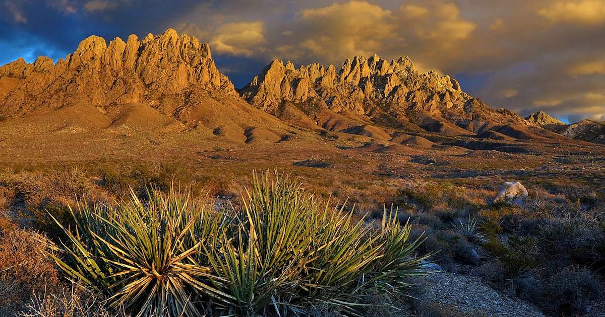 Organ mountains desert on sale peaks national monument hiking