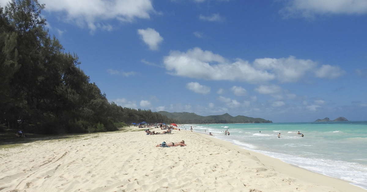Best Camping in and Near Bellows Field Beach Park