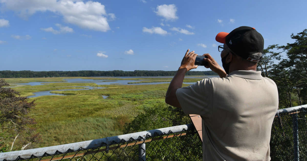 Escape to Nature's Embrace: Maryland's Merkle Natural Resources Management Area and Visitor Center