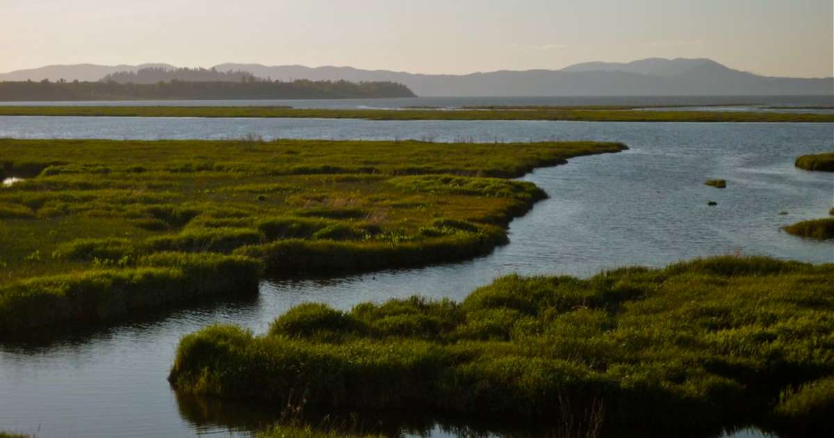 Best Camping in and Near Columbia National Wildlife Refuge